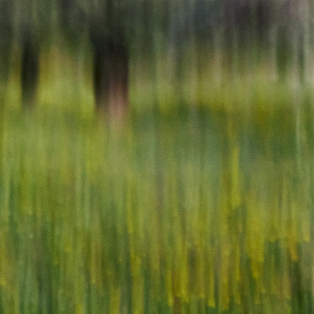 S1_07270_1