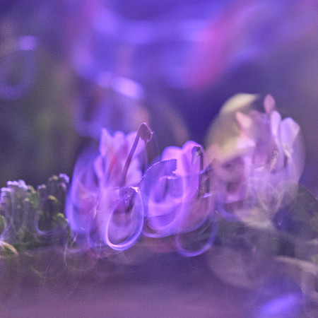 S1_05201