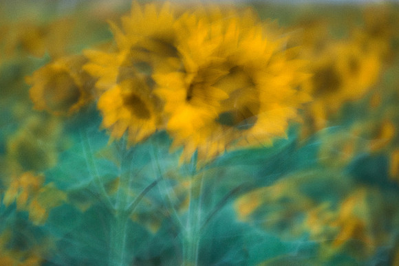 S1_00795_1