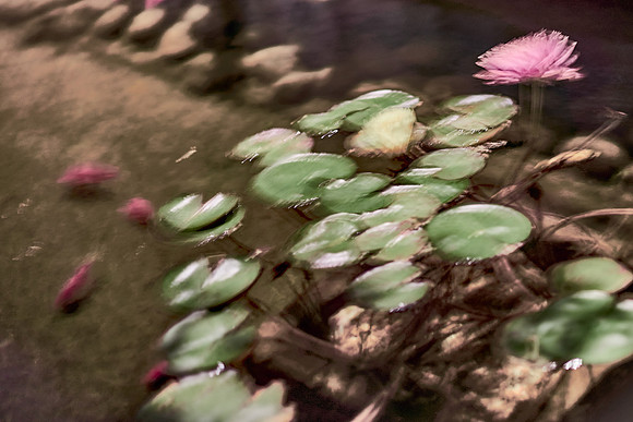 01_06983