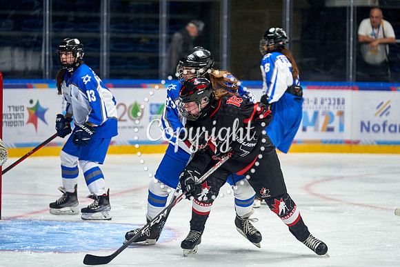IMAGE_01036