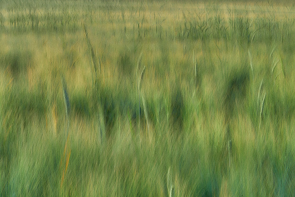 01_07163