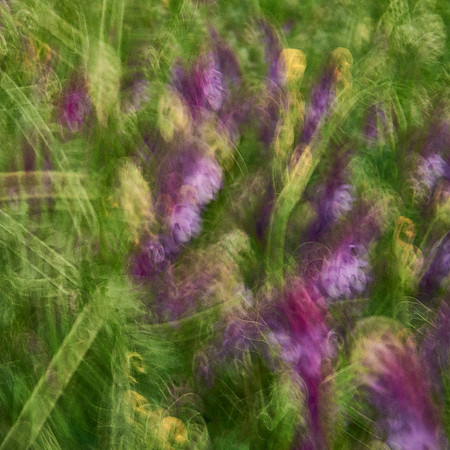 01_06799