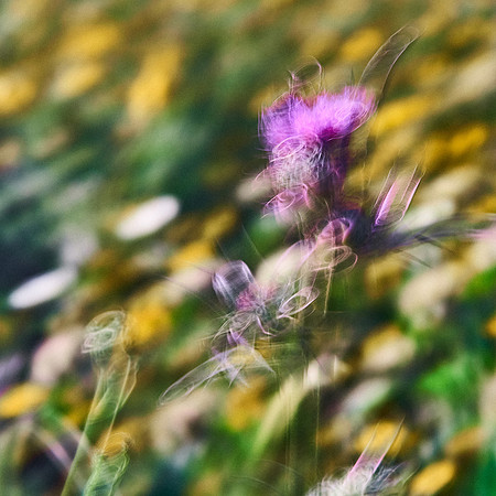 S1_07399