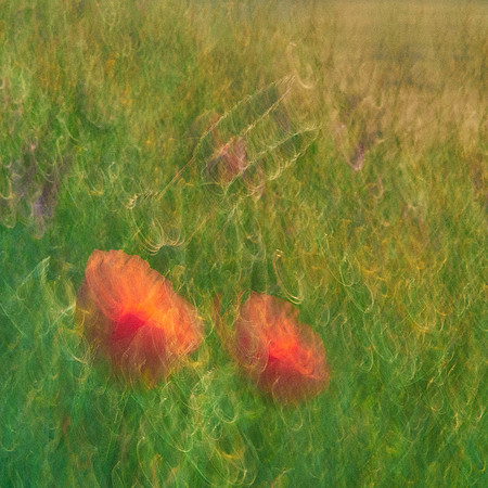 01_07020