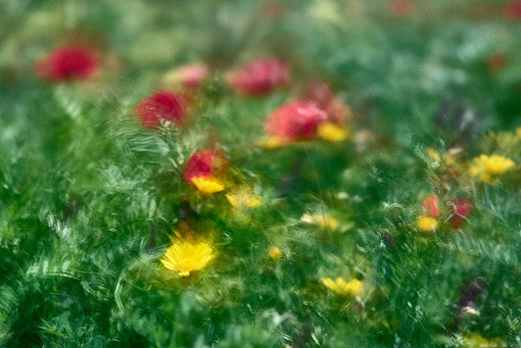 S1_07770