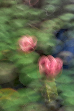 2023_04_14_053