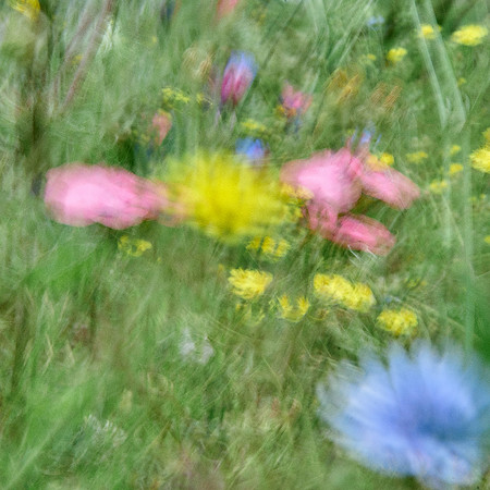 01_08530