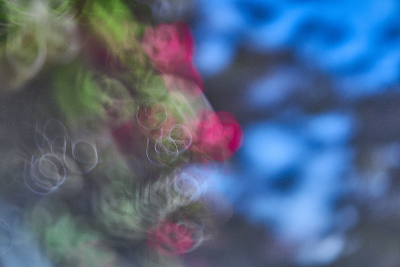 S1_04694