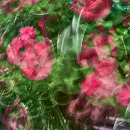 S1_04611_1