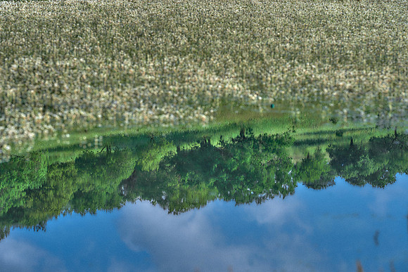 01_07331