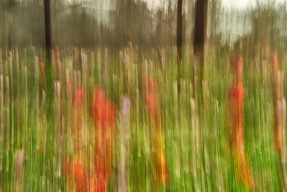 01_06503