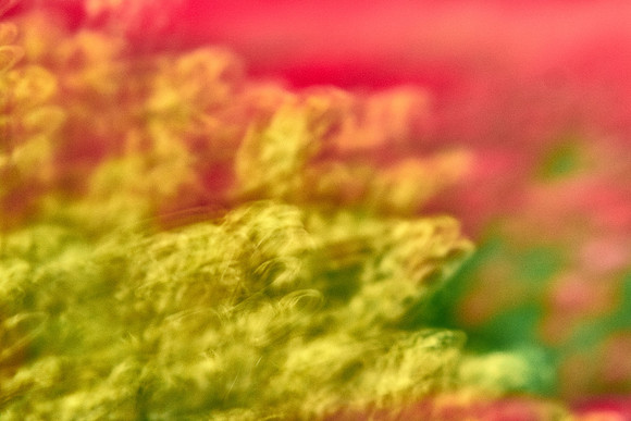 S1_07611