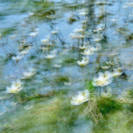 01_08800