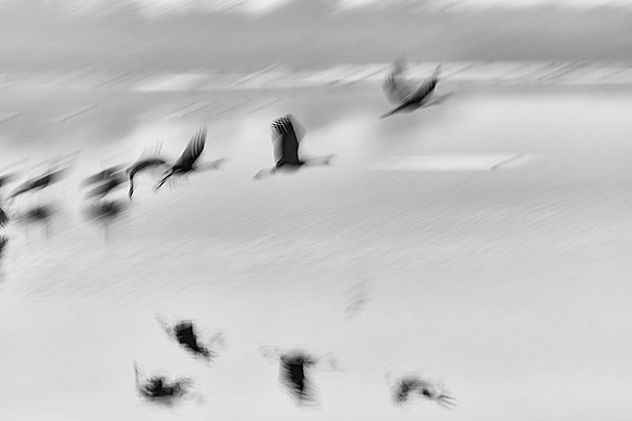 S2_01029_1
