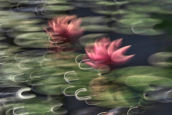 2023_04_14_239
