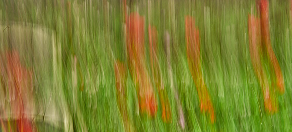 01_06381