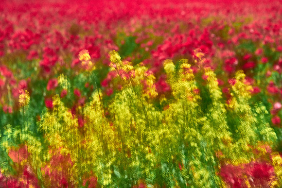 S1_07722
