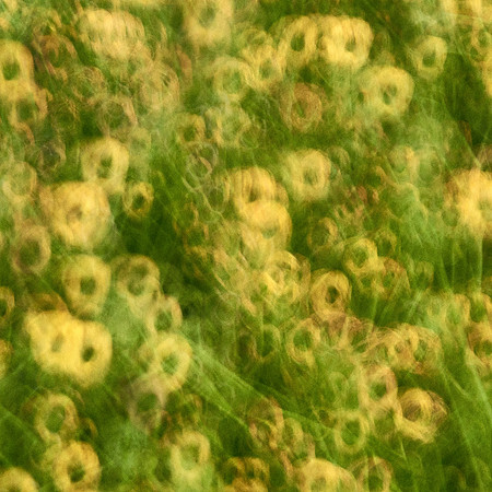 01_06783