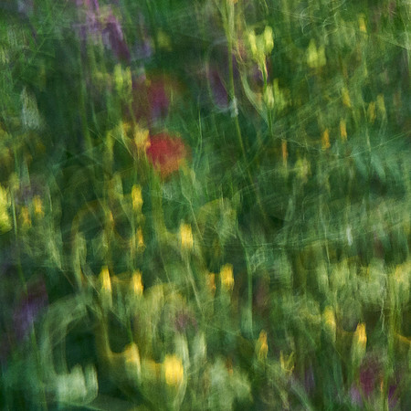 01_06695