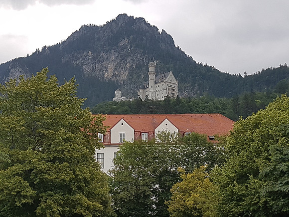 Image_187