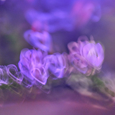 S1_05205