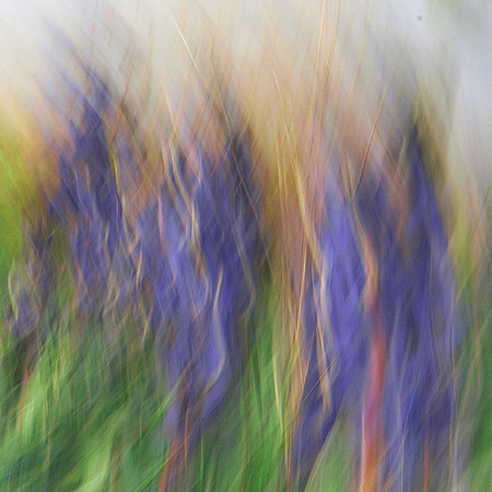 01_05972