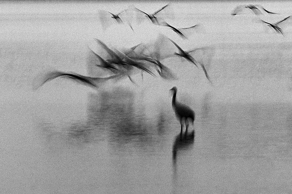 S1_03115_1