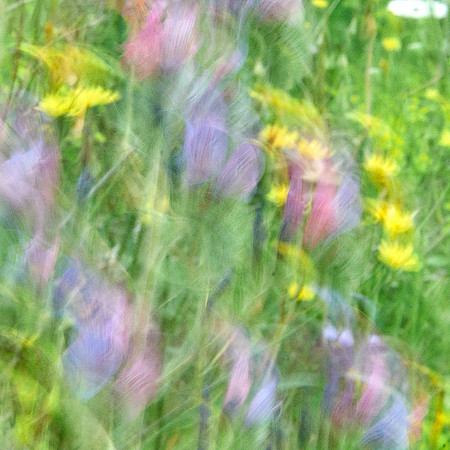 01_08413