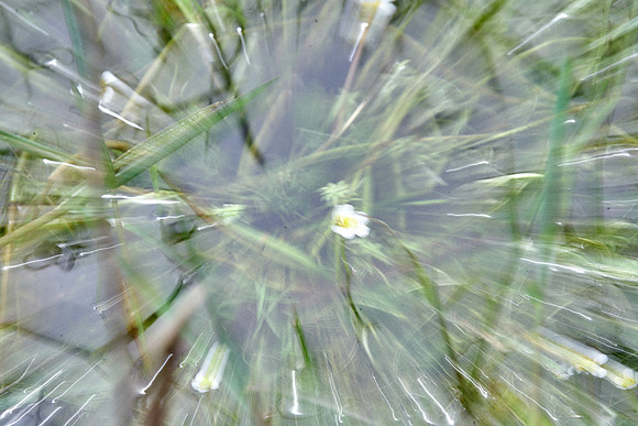 01_08342
