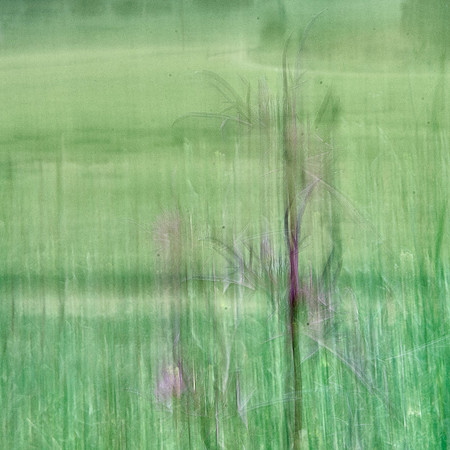01_07915