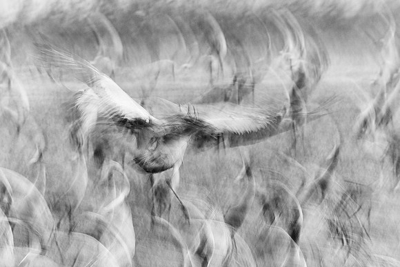 S2_01791_3
