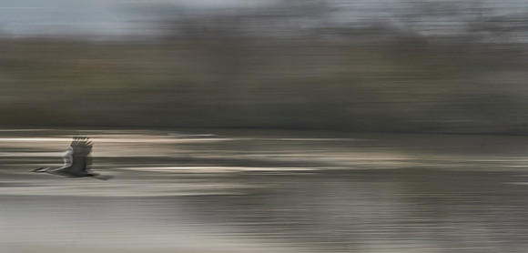 S1_03406
