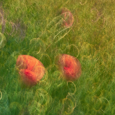 01_06957