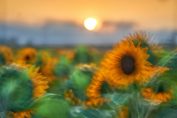 S1_01611