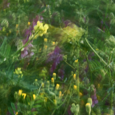 01_06673