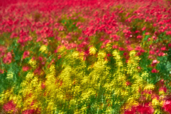 S1_07720