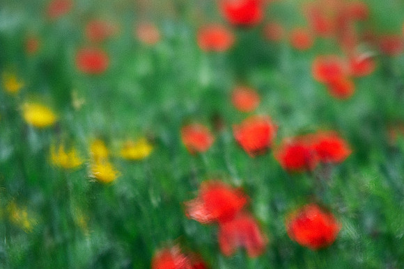 S1_07776