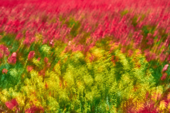 S1_07723