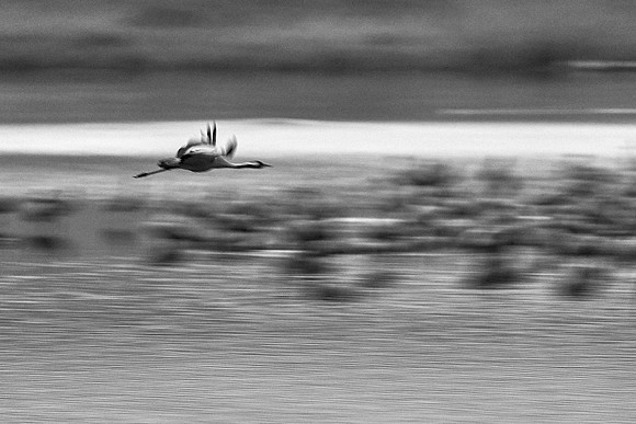 S1_02503