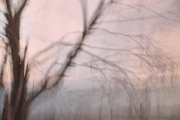 S1_04272