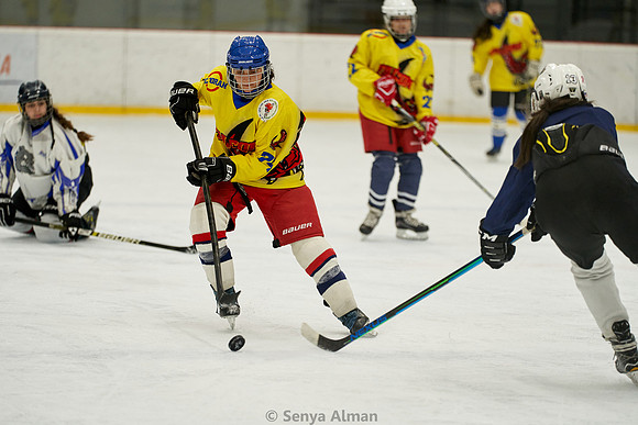IMAGE_0309