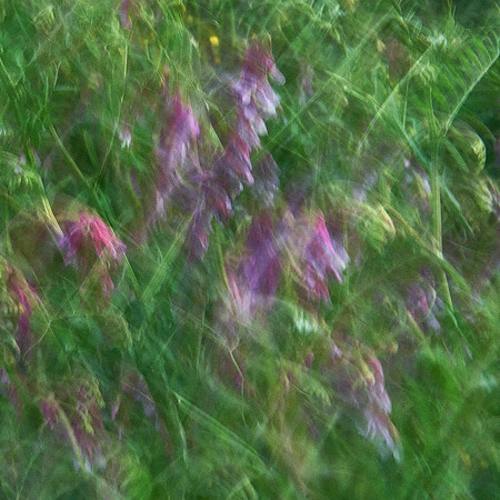 01_06641