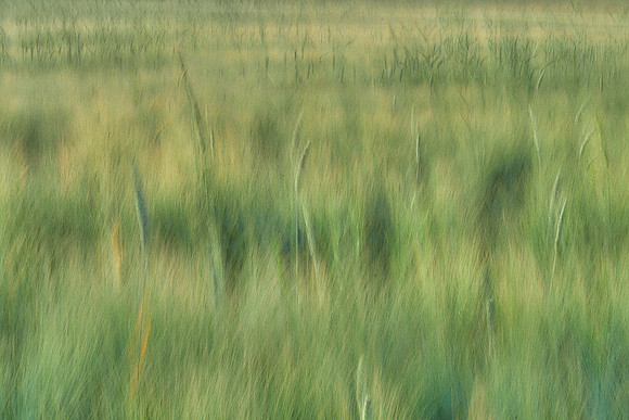 01_07163_1
