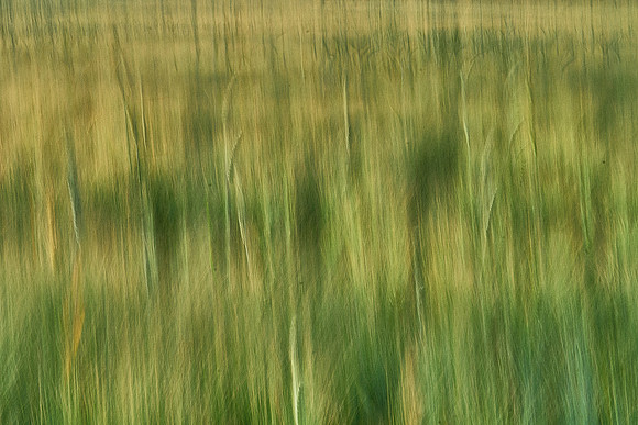01_07165