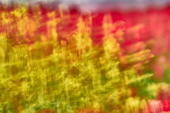 S1_07596