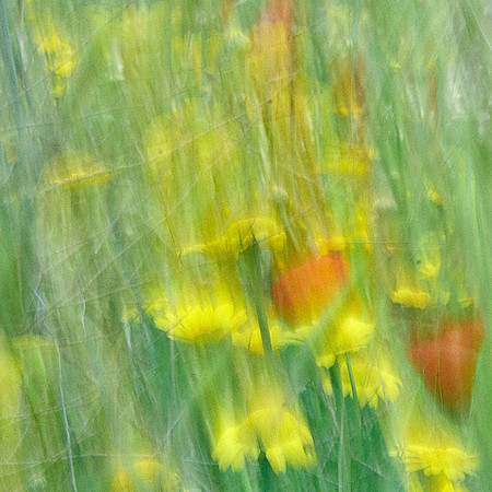 01_08023