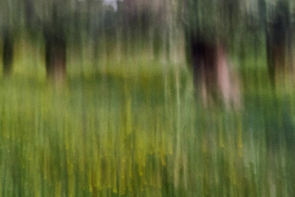 S1_07270