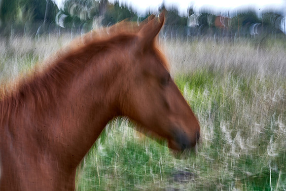S1_05431