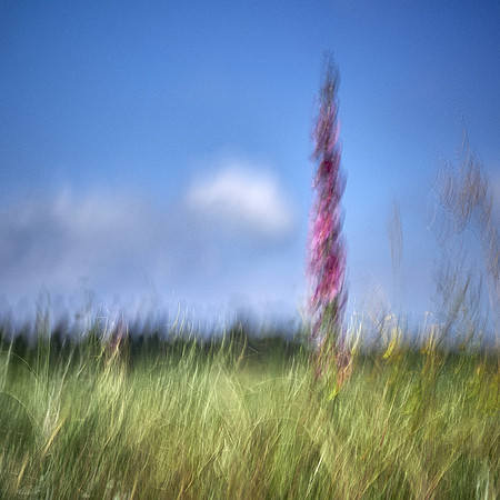 S1_07453
